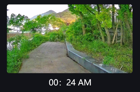 Vendo no escuro: um guia simples para câmeras de segurança com luz negra de visão noturna